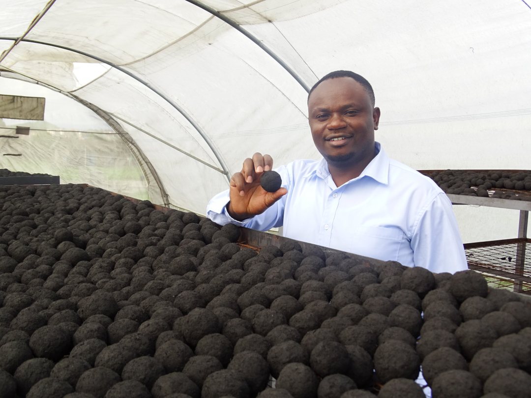 Round-shaped carbonised briquettes in drying beds at FSTP in Nakuru, Kenya
