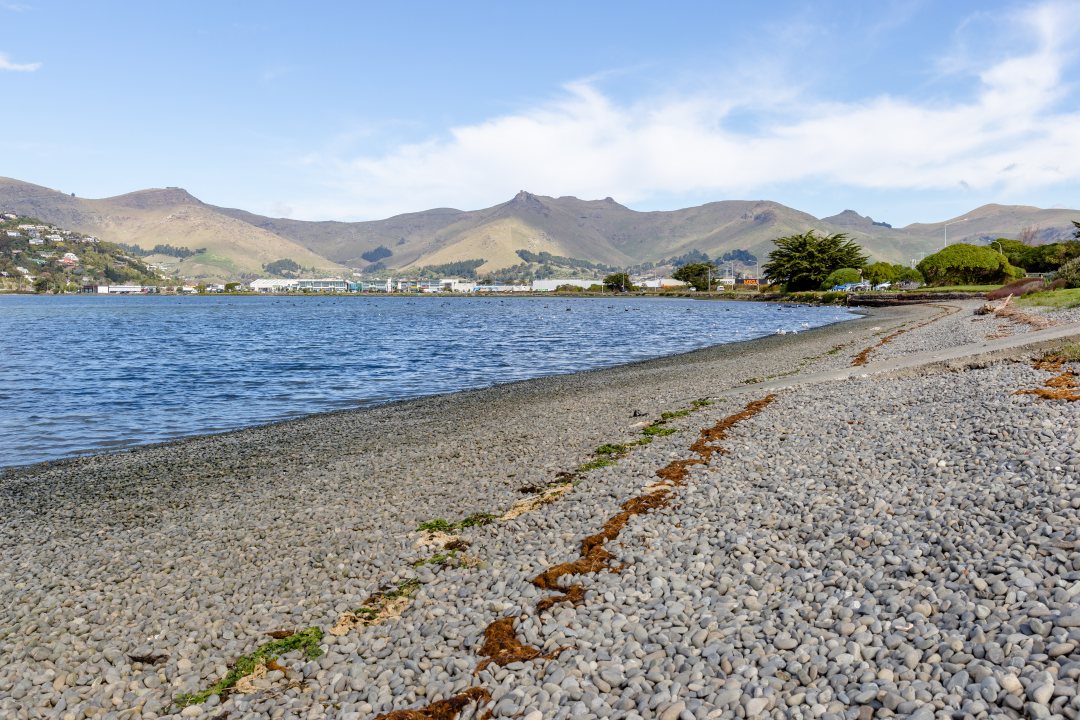Avon-Heathcote estuary in Christchurch, New Zealand