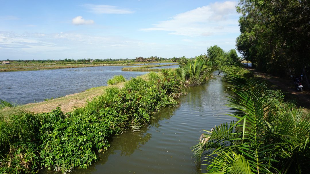  Water supply and drainage canal of a shrimp - rice plant in Mekong delta, Vietnam