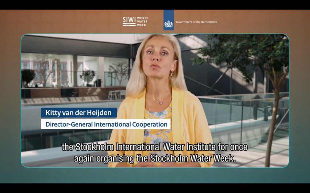 Director general intrernational cooperation, Kitty van der Heijden, delivering her message at the online Stockholm world water week 2021 on behalf of the Dutch government
