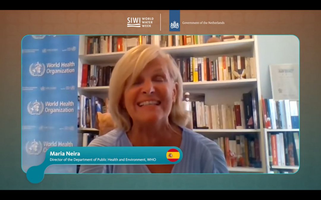 Maria Neira, public health director at the World Health Organisation, delivering her message to the online Stockholm world water week 2021.