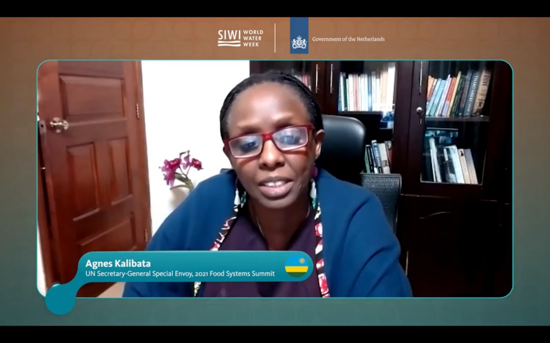 Agnes Kalibata, UN special envoy for the UN 2021 Food Systems Summit, delivering her message to the online Stockholm world water week 2021.