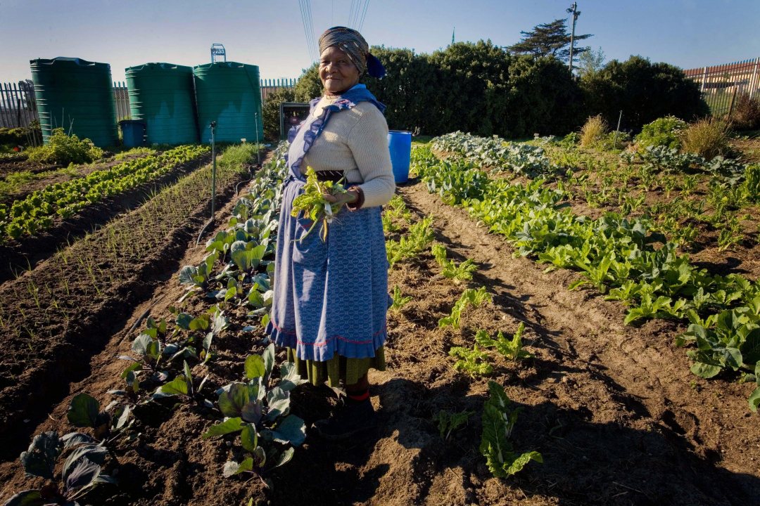 Small-scale farming in South Africa