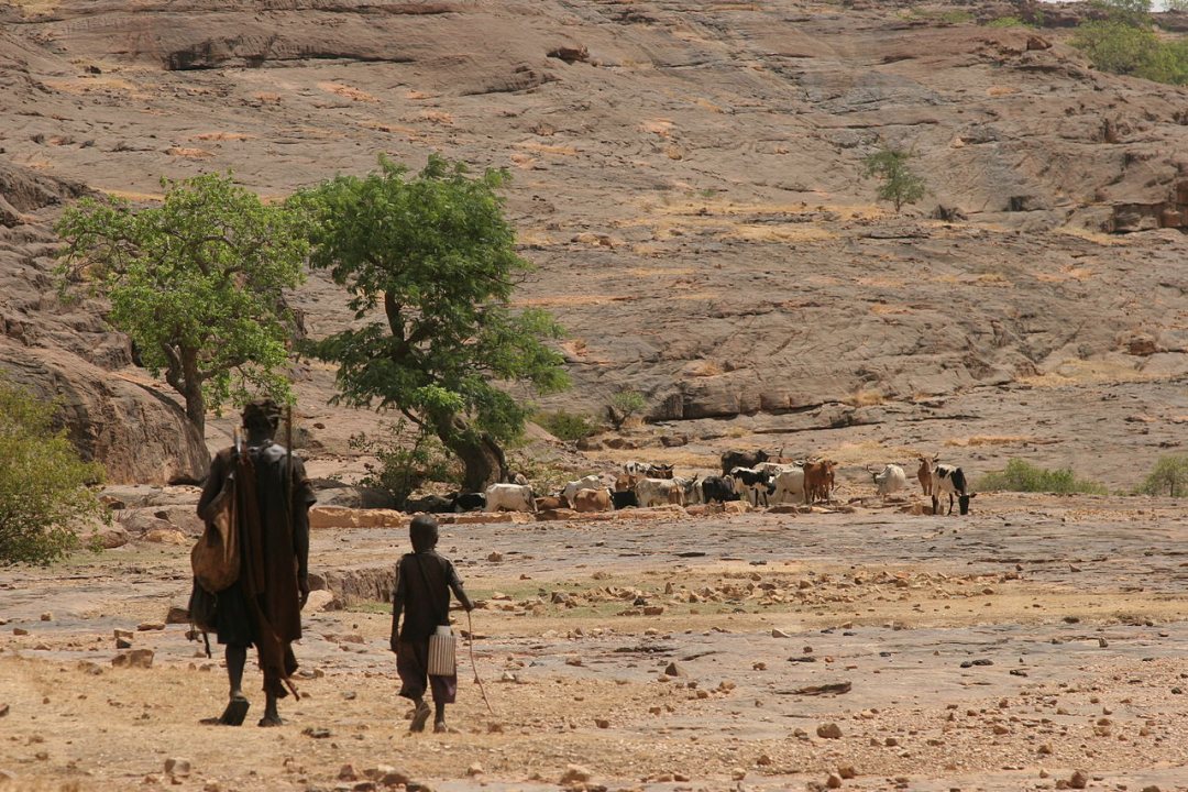 Pastoralists in Mali