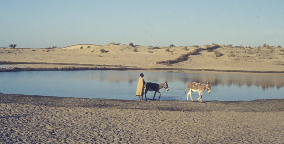 Pond in in arid Mali