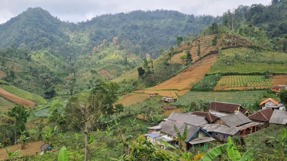 Smallholder farms in the Welang Watershed area, Indonesia. Photo: Partners for Water Programme