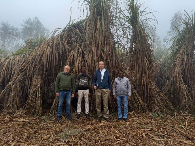 IrriWatch team visits the sugarcane fields with DCM Shiriam team. Photo: IrriWatch