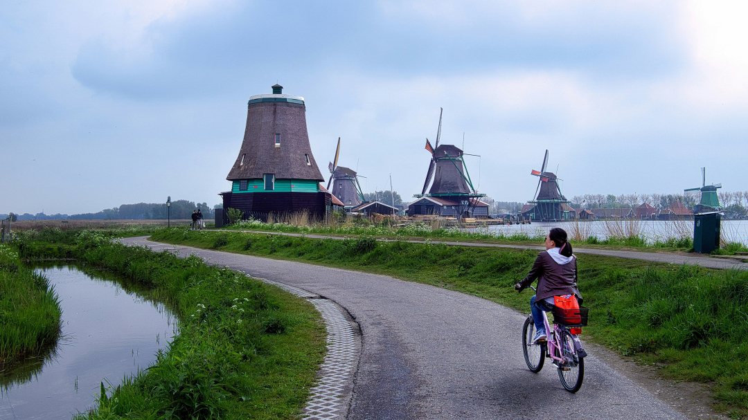 Image of a dyke and bike path in Zaandam, the Netherlands. Photo: Partha Narasimhan / unsplash