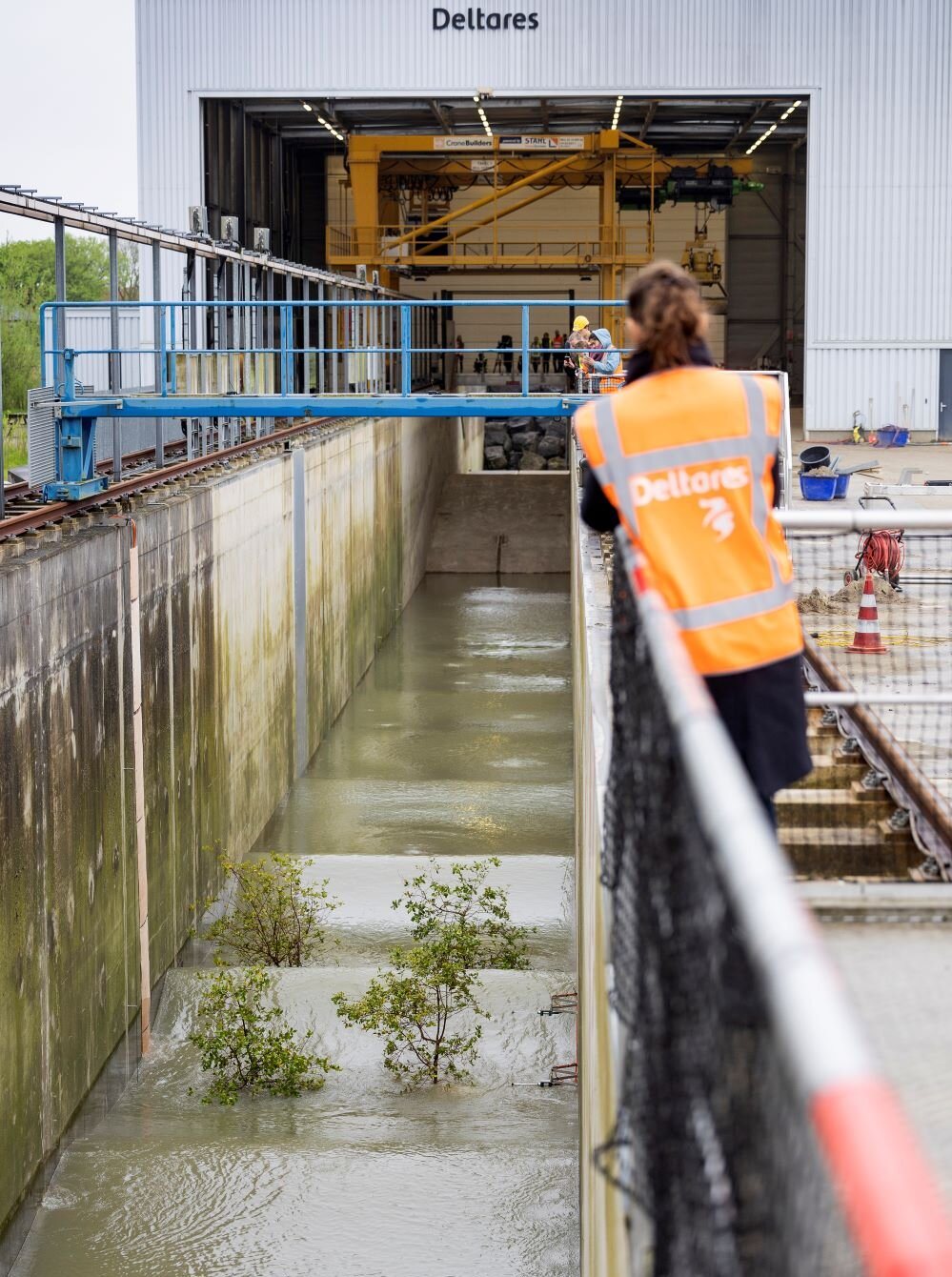 Testing the strength of mangrove trees under extreme wave conditions at the Delta Flume. Photo: TU Delft / Deltares