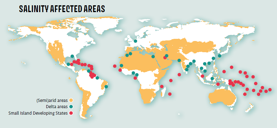 Salinity affected areas