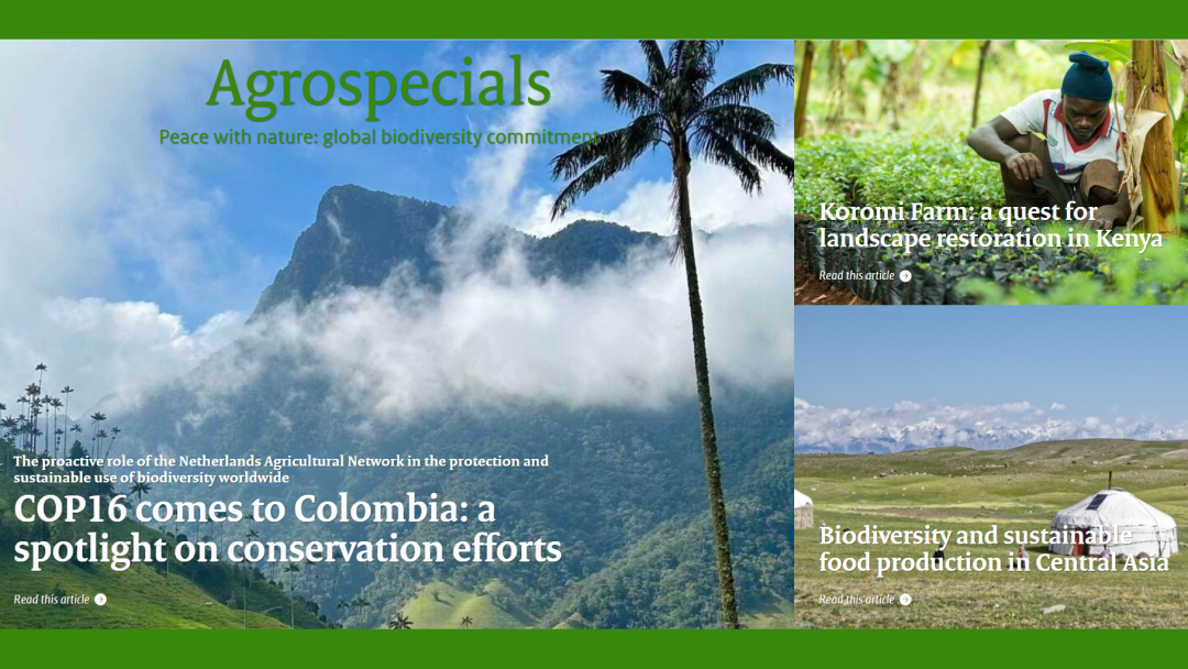 Cover of the Agrospecial e-magazine, number 13. Photo: Netherlands Agricultural Network