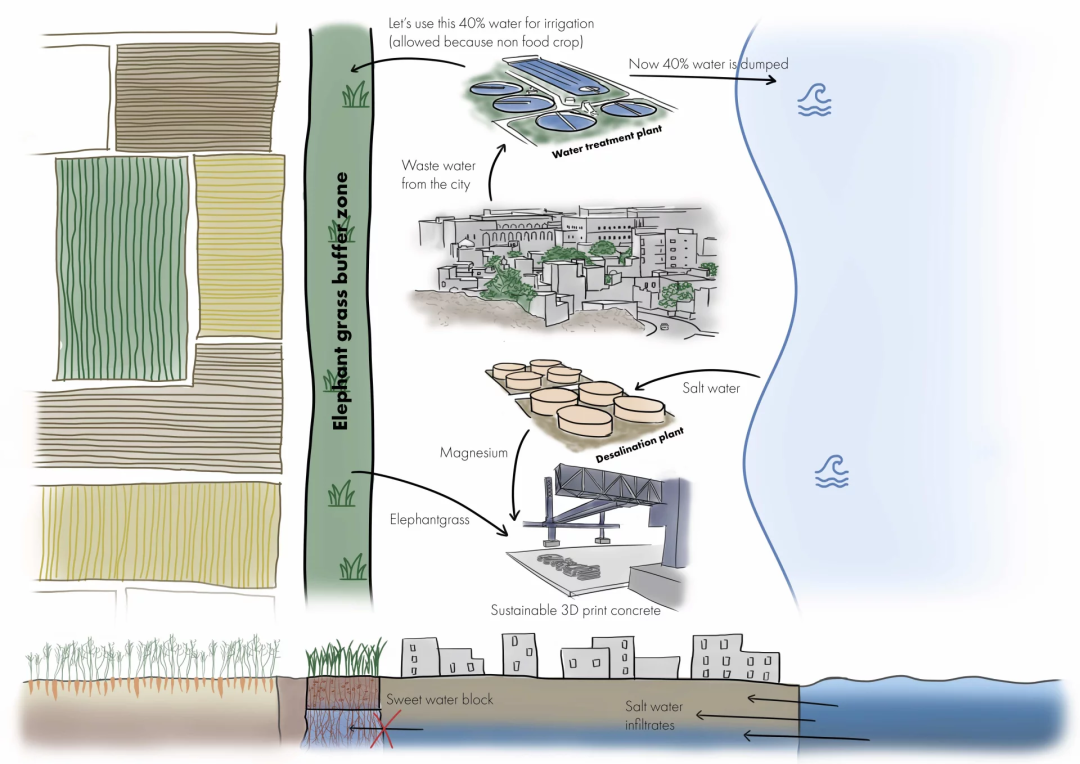 Illustration of the Blue Harvest pilot project in Oman. Photo: Vybrant.