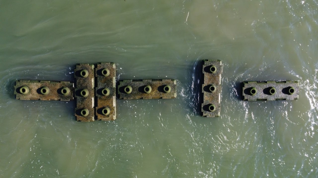 Drone image of the reef blocks. Photo: Reefy