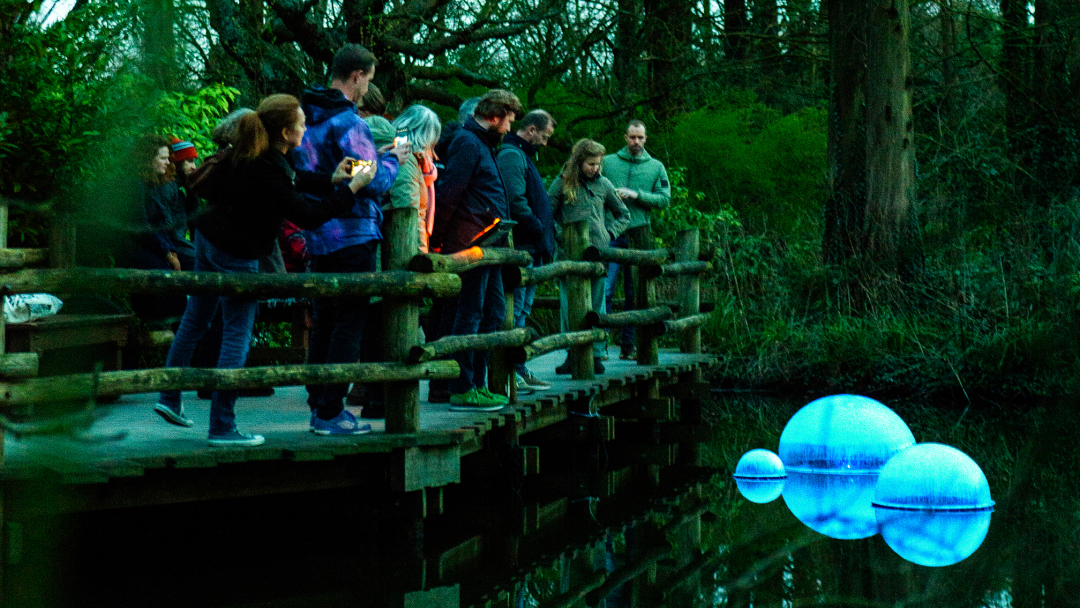 POND at Rotterdam Zoo. Photo: Nova Innova
