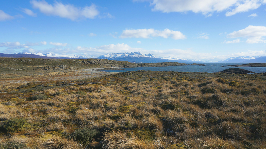 Peatland project_Tierra del Fuego_ Argentina_Photo-Unsplash Photocredits_Gustavo Moreno
