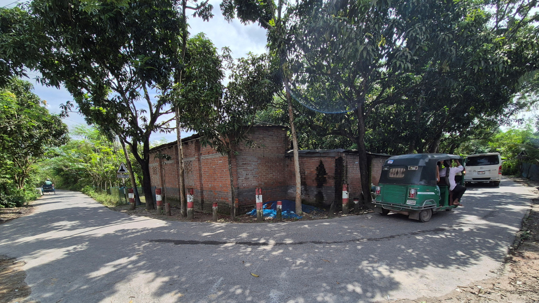 Green roads in Bangladesh 1
