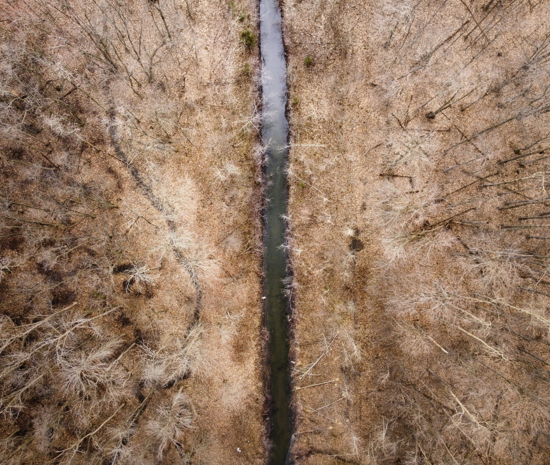 Groundwater