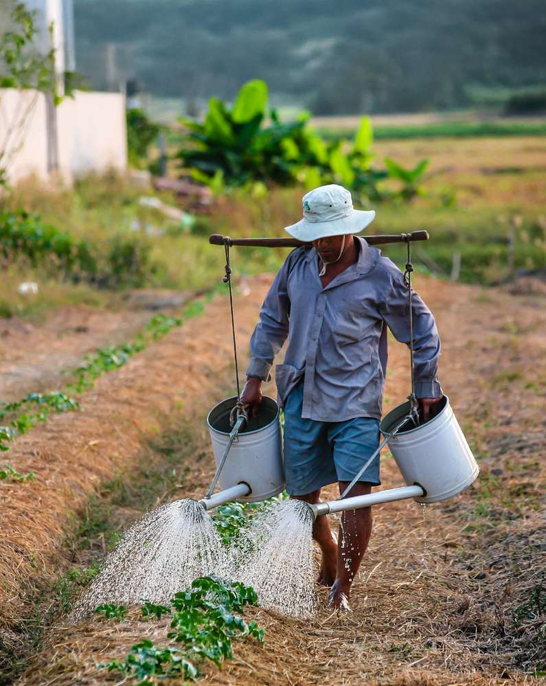 Salinity magazine 2: cover image