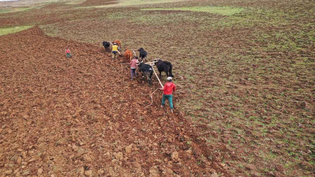 IWRM4WASH project Ethiopia. Photocredits VEI – Dutch Water Operators