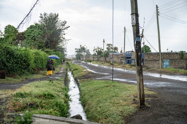 Water as leverage Nakuru park