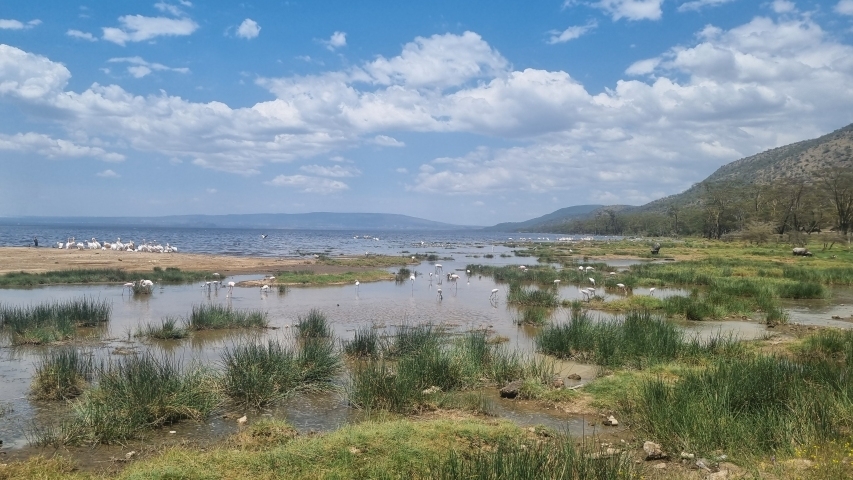 Water as leverage Nakuru park