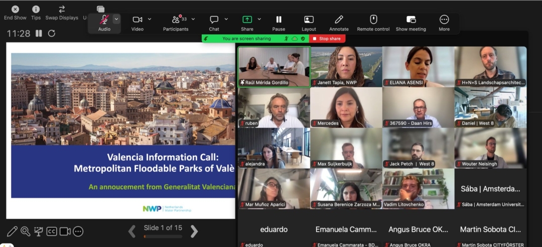 Webinar on flood resilience project Valencia organised by Netherlands Water Partnership