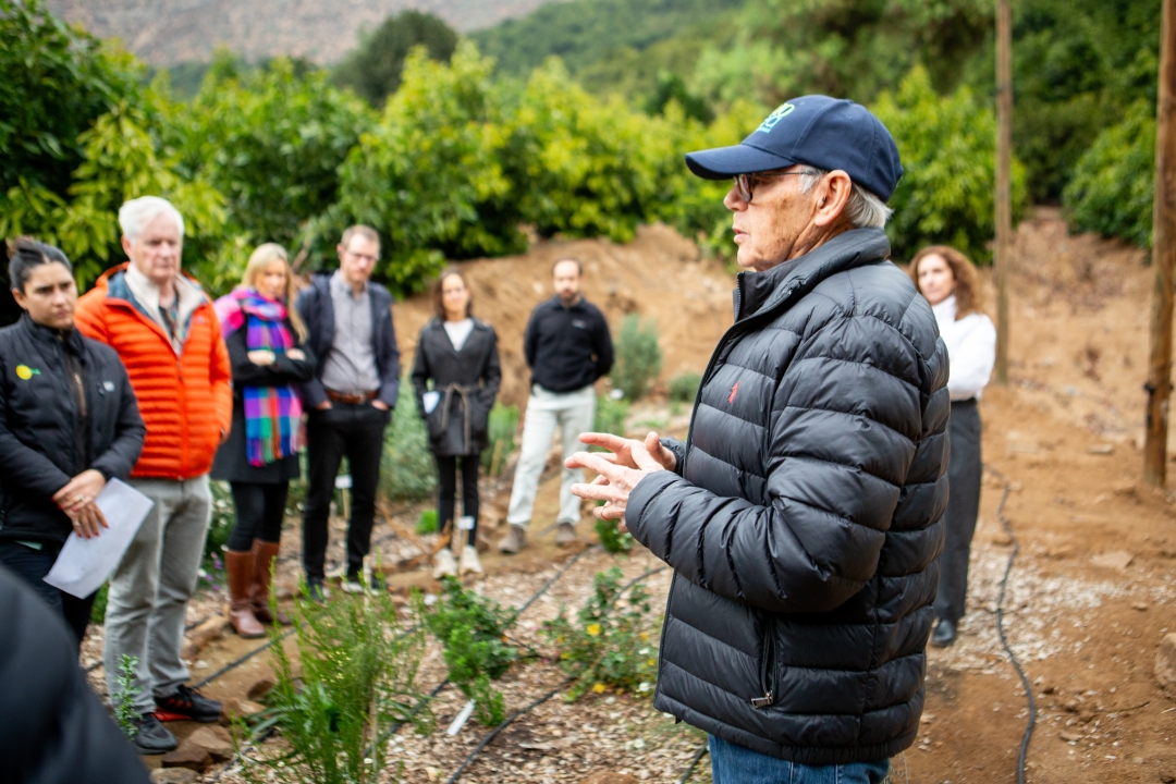 Aconcagua valley in Chile. Photocredits: Felipe Mardones. Makmende Media