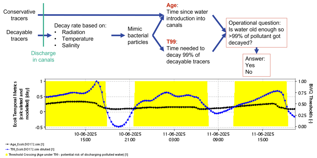 Dutch modelling helps Dunkirk predict bathing water pollution before it ...