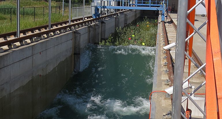 dws-deltares-flume-willows-high-wave-770px dws-deltares-flume-willows-high-wave-770px