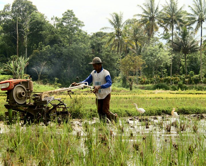 Indonesian farmer using a tractor. Photo: Unsplash