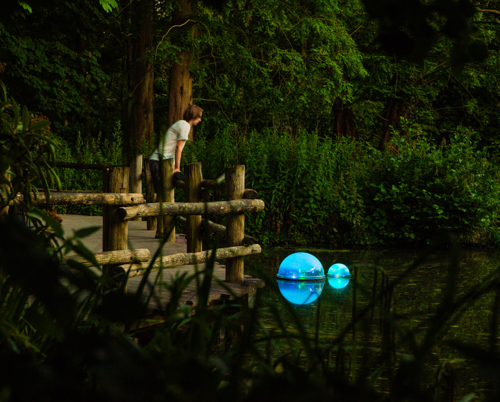 POND at Rotterdam Zoo. Photo: Nova Innova