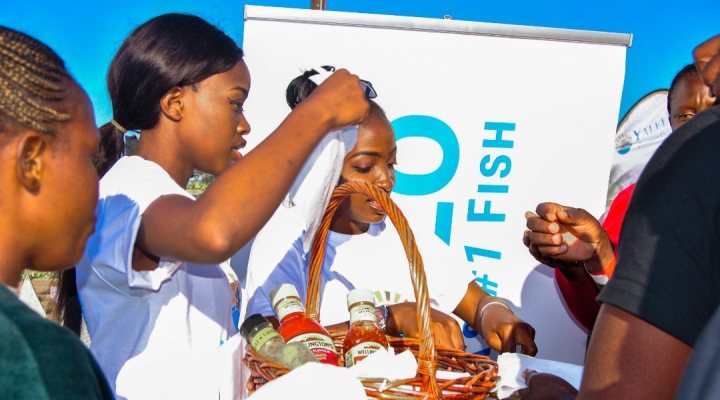 Dutch Fund for Climate and Development (DFCD)