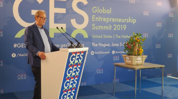 Pieter Hoff - Groasis