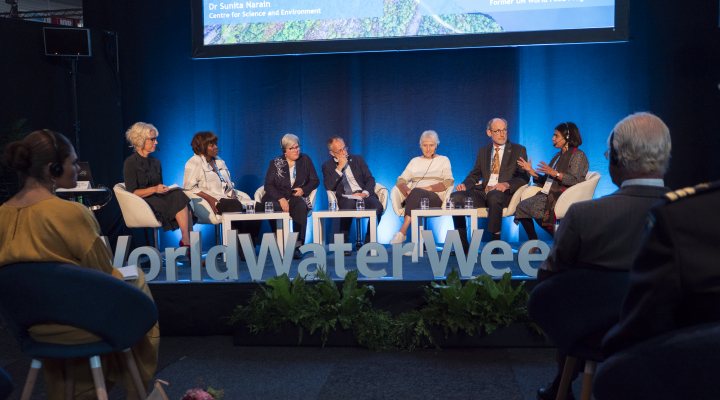 River flow session at Stockholm World Water Week