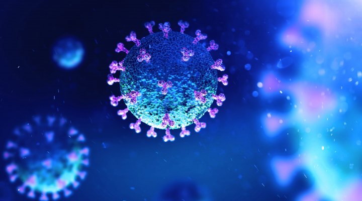 Coronavirus as seen under a microscope