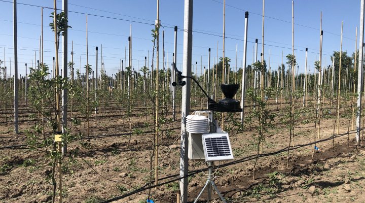 Wolky Tolky metering station for monitoring the rain fall, temperature, wind and soil moisture.