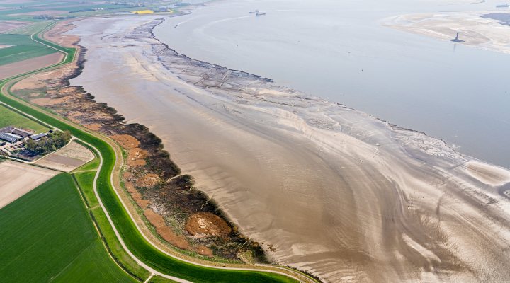 Aerial view of salt marshes in Western Scheldt, the Netherlands
