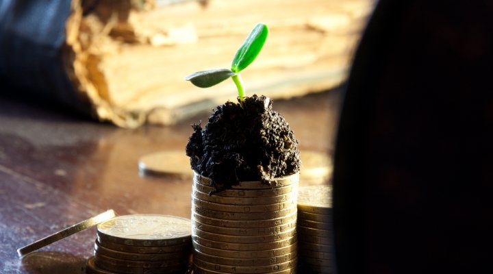 Growing money illustrating financing session at Stockholm Water Week