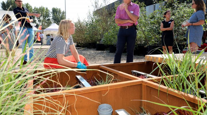 Bluebloqs test site at Hitteplein, Delft University of Technology, the Netherlands (photo: Wink-Photography NL)