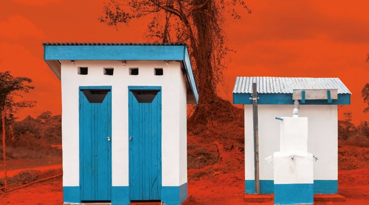 Poster World Toilet Day