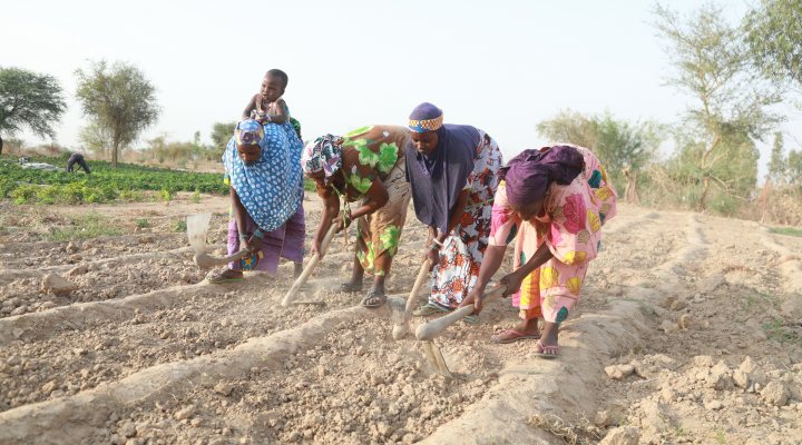 African women working on dry land (ohoto: Makmende Media)