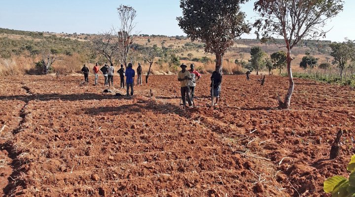 Farmers in Angola who use geo data to improve their corp yield
