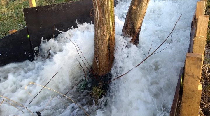 Overtopping test on landside of levee along Scheldt river