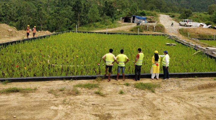 Wetland in Nepal