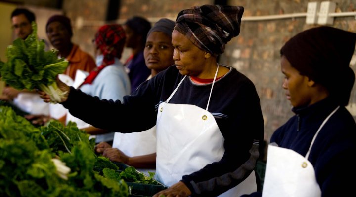 South African workers packing fresh food