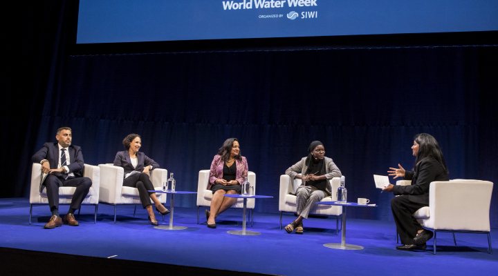 High-level Panel on Water Peace Security