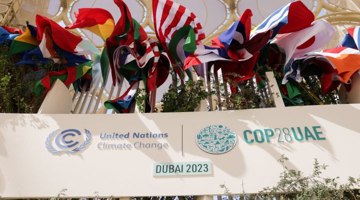 General view of flags during the UN Climate Change Conference COP28 at Expo City Dubai on November 30, 2023, in Dubai, United Arab Emirates. Photo by COP28 / Christophe Viseux