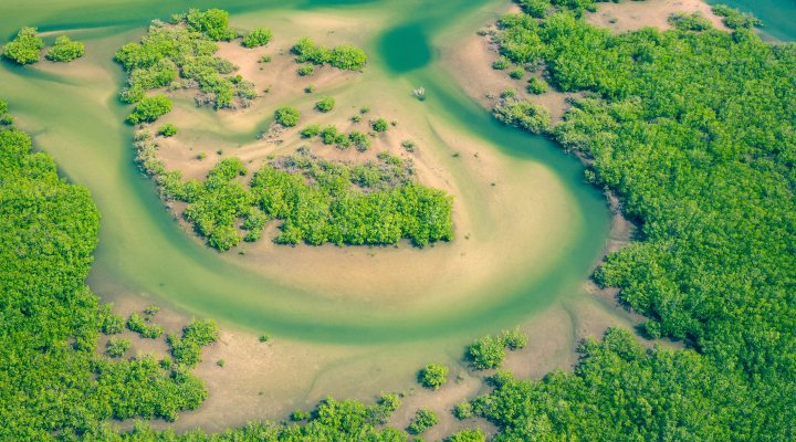 Saloum Delta National Park, Senegal. Photo: Unsplash