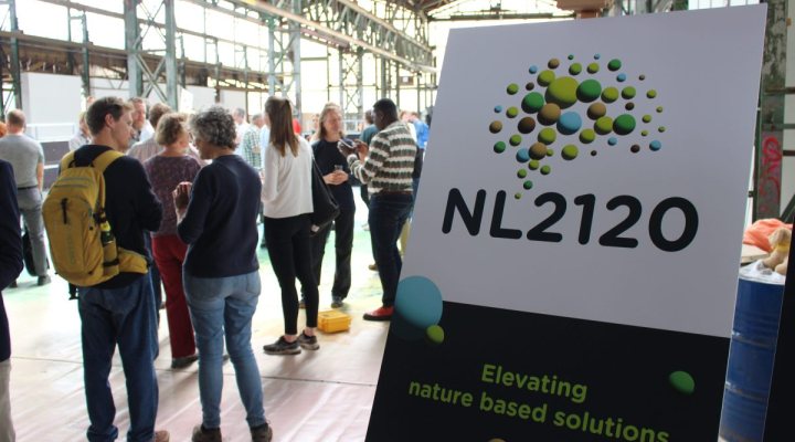 NL2120 banner. Photo: Autumn Dukich / EcoShape