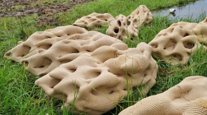 Photo of 3D-printed clay reefs designed by Urban Reef. Photo: Urban Reef / Rijkswaterstaat